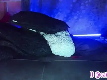 Stripchat Adult Webcams of Cata-angel