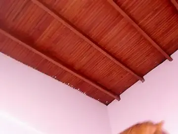 Stripchat Live Porn of Sofi_glow