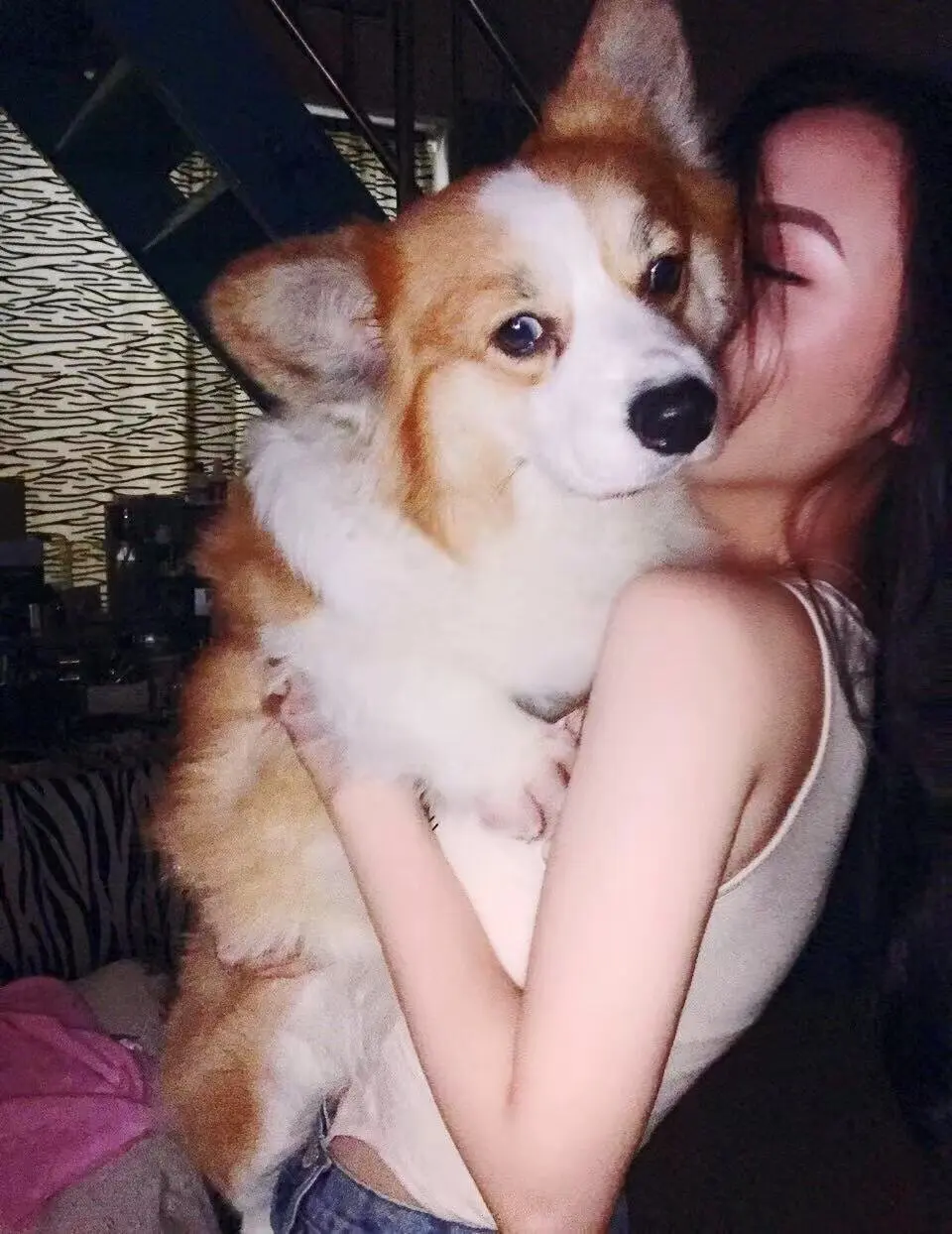 vyizh-