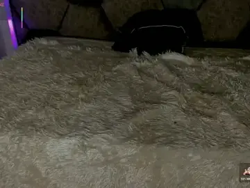 Stripchat Live Sex Cam of Latrellx7