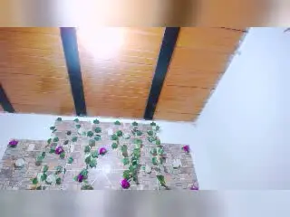 Xlovecam Sex Cam of MaidenGame