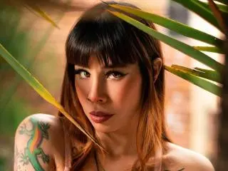 Xlovecam Adult Webcam of AriiannaHot